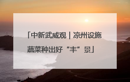 中新武威观｜凉州设施蔬菜种出好“丰”景
