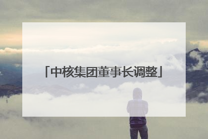 中核集团董事长调整