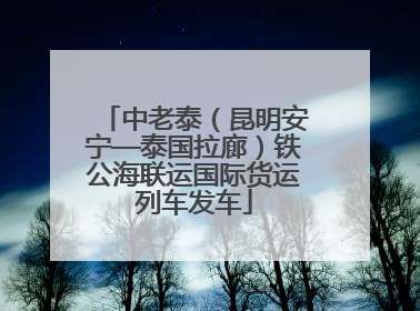 中老泰（昆明安宁—泰国拉廊）铁公海联运国际货运列车发车