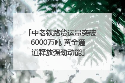 中老铁路货运量突破6000万吨 黄金通道释放强劲动能