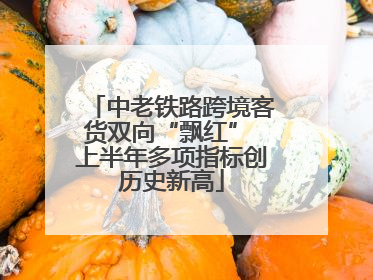 中老铁路跨境客货双向“飘红” 上半年多项指标创历史新高