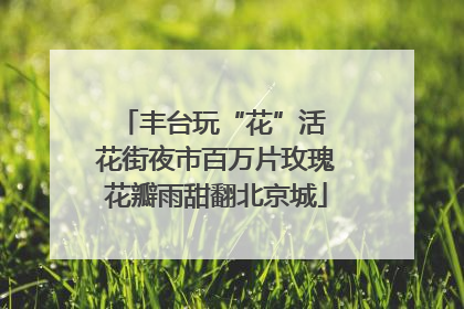 丰台玩“花”活 花街夜市百万片玫瑰花瓣雨甜翻北京城