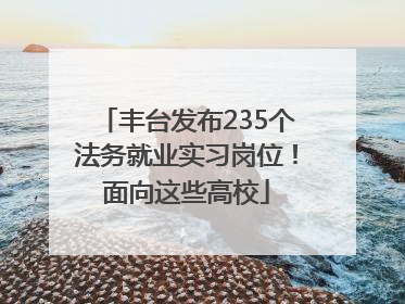 丰台发布235个法务就业实习岗位！面向这些高校