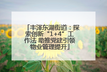丰泽东湖街道：探索创新“1+4”工作法 助推党建引领物业管理提升