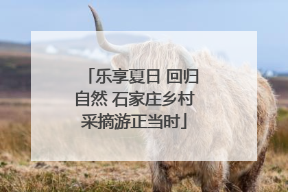 乐享夏日 回归自然 石家庄乡村采摘游正当时