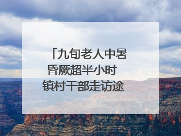 九旬老人中暑昏厥超半小时 镇村干部走访途中发现及时施救｜看见正能量