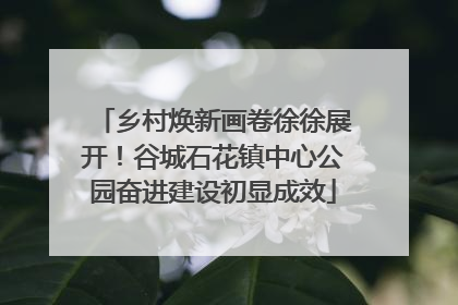 乡村焕新画卷徐徐展开！谷城石花镇中心公园奋进建设初显成效