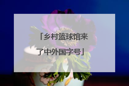 乡村篮球馆来了中外国字号