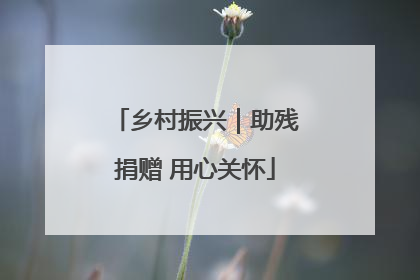 乡村振兴｜助残捐赠 用心关怀