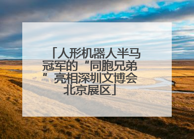 人形机器人半马冠军的“同胞兄弟”亮相深圳文博会北京展区