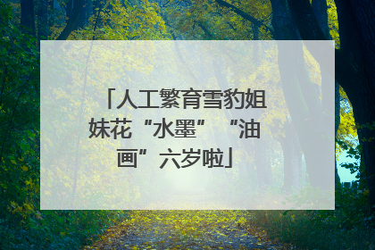 人工繁育雪豹姐妹花“水墨”“油画”六岁啦