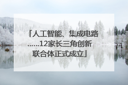 人工智能、集成电路……12家长三角创新联合体正式成立