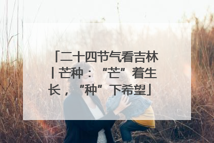 二十四节气看吉林丨芒种：“芒”着生长，“种”下希望