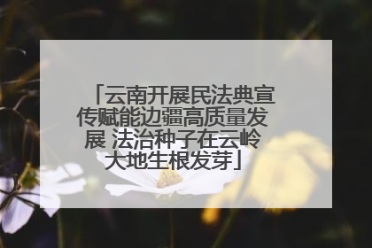 云南开展民法典宣传赋能边疆高质量发展 法治种子在云岭大地生根发芽
