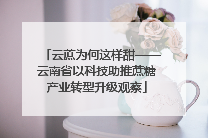 云蔗为何这样甜——云南省以科技助推蔗糖产业转型升级观察