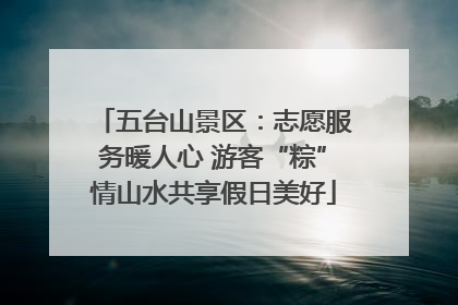 五台山景区：志愿服务暖人心 游客“粽”情山水共享假日美好