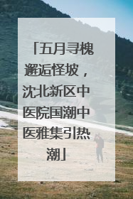 五月寻槐邂逅怪坡，沈北新区中医院国潮中医雅集引热潮