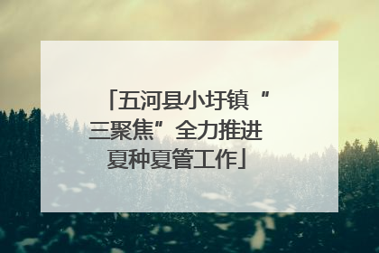 五河县小圩镇“三聚焦”全力推进夏种夏管工作
