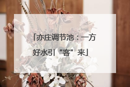 亦庄调节池：一方好水引“客”来