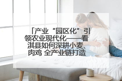 产业“园区化”引领农业现代化——看淇县如何深耕小麦、肉鸡 全产业链打造现代农业产业园
