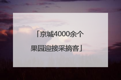 京城4000余个果园迎接采摘客