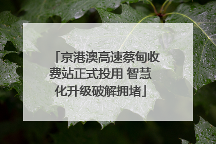 京港澳高速蔡甸收费站正式投用 智慧化升级破解拥堵