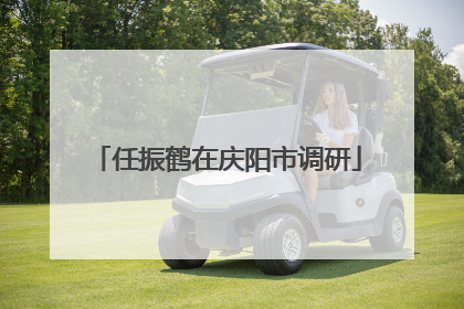任振鹤在庆阳市调研