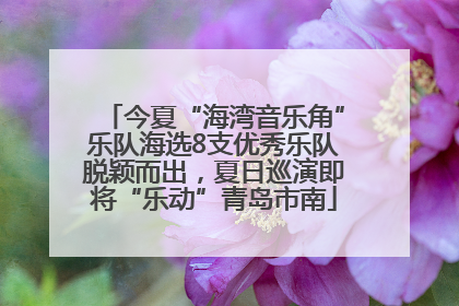 今夏“海湾音乐角”乐队海选8支优秀乐队脱颖而出，夏日巡演即将“乐动”青岛市南