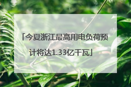 今夏浙江最高用电负荷预计将达1.33亿千瓦