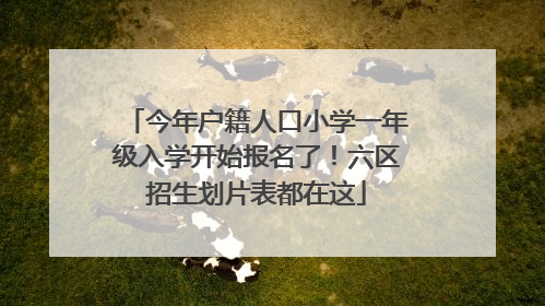 今年户籍人口小学一年级入学开始报名了！六区招生划片表都在这