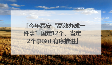 今年泰安“高效办成一件事”国定12个、省定2个事项正有序推进