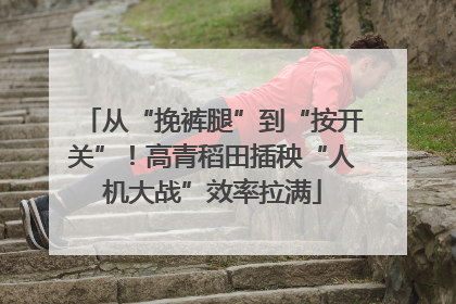 从“挽裤腿”到“按开关”！高青稻田插秧“人机大战”效率拉满