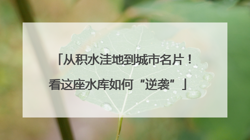 从积水洼地到城市名片！看这座水库如何“逆袭”