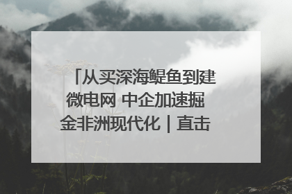 从买深海鳀鱼到建微电网 中企加速掘金非洲现代化｜直击中非经贸博览会