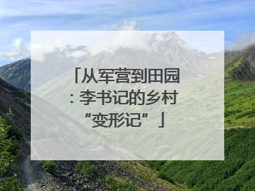 从军营到田园：李书记的乡村 “变形记”