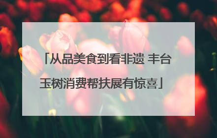 从品美食到看非遗 丰台玉树消费帮扶展有惊喜