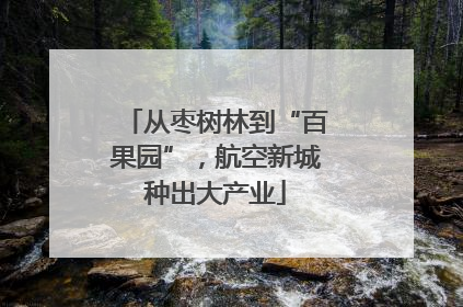 从枣树林到“百果园”，航空新城种出大产业