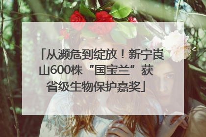 从濒危到绽放！新宁崀山600株“国宝兰”获省级生物保护嘉奖