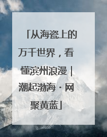 从海瓷上的万千世界，看懂滨州浪漫｜潮起渤海・网聚黄蓝