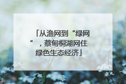 从渔网到“绿网”，蔡甸桐湖网住绿色生态经济