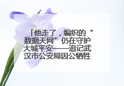 他走了，编织的“数据天网”仍在守护大城平安——追记武汉市公安局因公牺牲民警万松