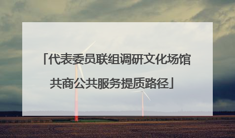 代表委员联组调研文化场馆 共商公共服务提质路径