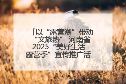 以“露营潮”带动“文旅热” 河南省2025“美好生活露营季”宣传推广活动在平舆县启动
