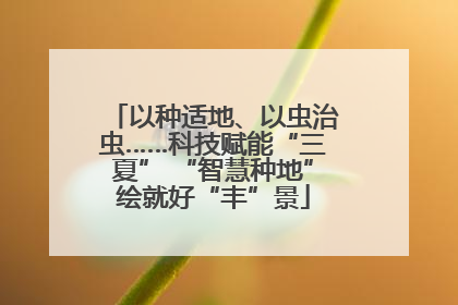 以种适地、以虫治虫……科技赋能“三夏” “智慧种地”绘就好“丰”景
