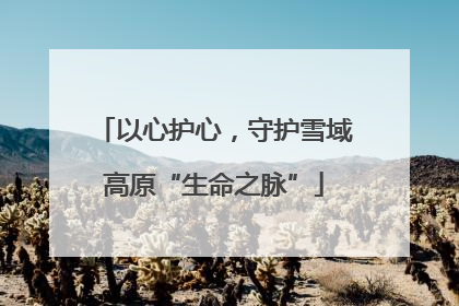 以心护心，守护雪域高原“生命之脉”