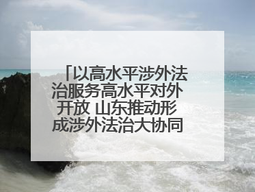 以高水平涉外法治服务高水平对外开放 山东推动形成涉外法治大协同工作格局