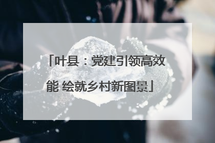 叶县：党建引领高效能 绘就乡村新图景