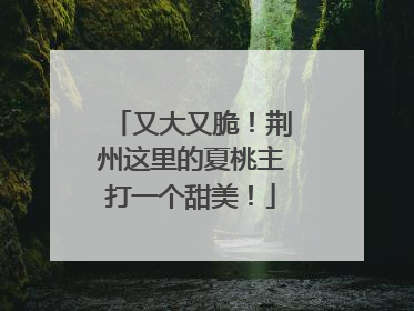 又大又脆！荆州这里的夏桃主打一个甜美！