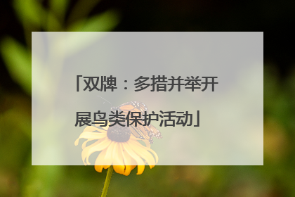 双牌：多措并举开展鸟类保护活动