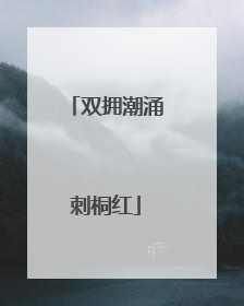 双拥潮涌刺桐红